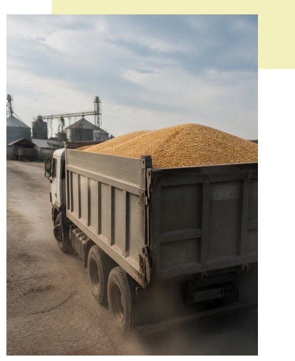 Перевозка сельхозпродукции навалом в Сасово по цене от 3032 р. | Агросервис-Ссв
