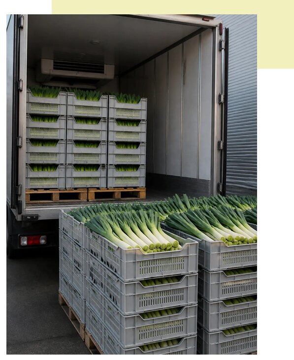 Перевозка лука порея в Сасово по цене от 5053 р. | Агросервис-Ссв