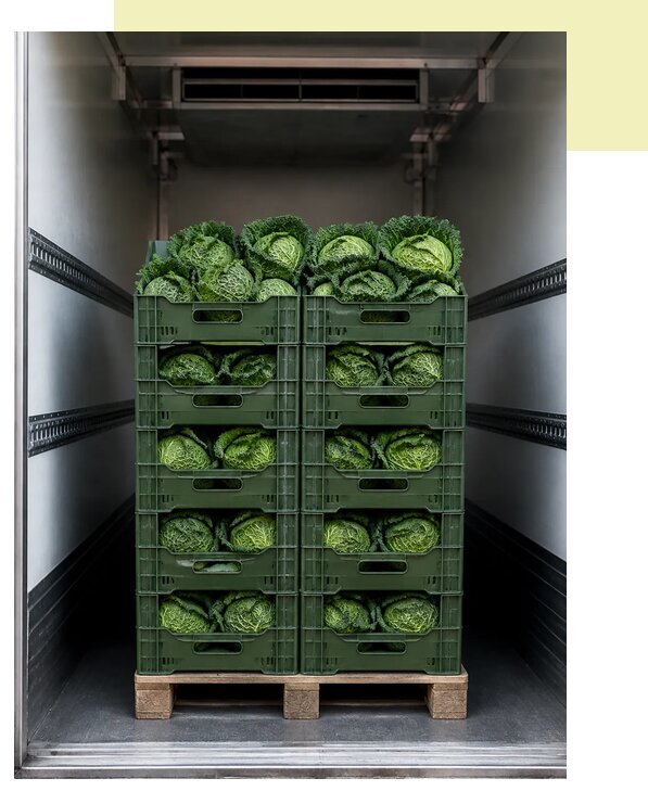 Перевозка савойской капусты в Сасово по цене от 5558 р. | Агросервис-Ссв